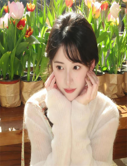 深入《何文秀传奇》的世界惊艳四座的：全面解读与深度分析